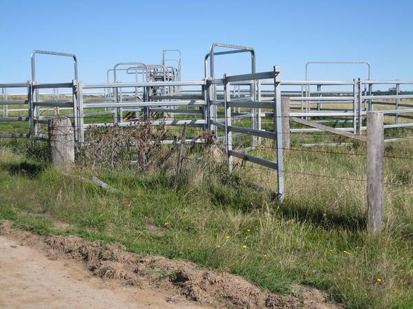 Acreage with Creek Picture 2