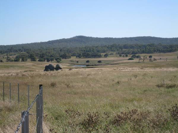 Acreage with Creek Picture 3