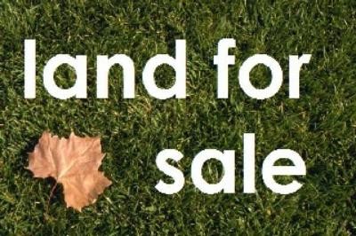 Mid West Mining BOOM Picture