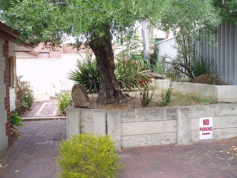 ****LOCATION*** Picture