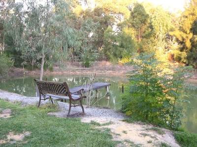 SERIOUSLY URGENT SALE AT A BARGAIN PRICE! Picture