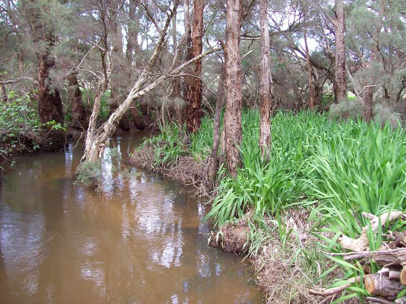 SERIOUSLY URGENT SALE AT A BARGAIN PRICE! Picture 3