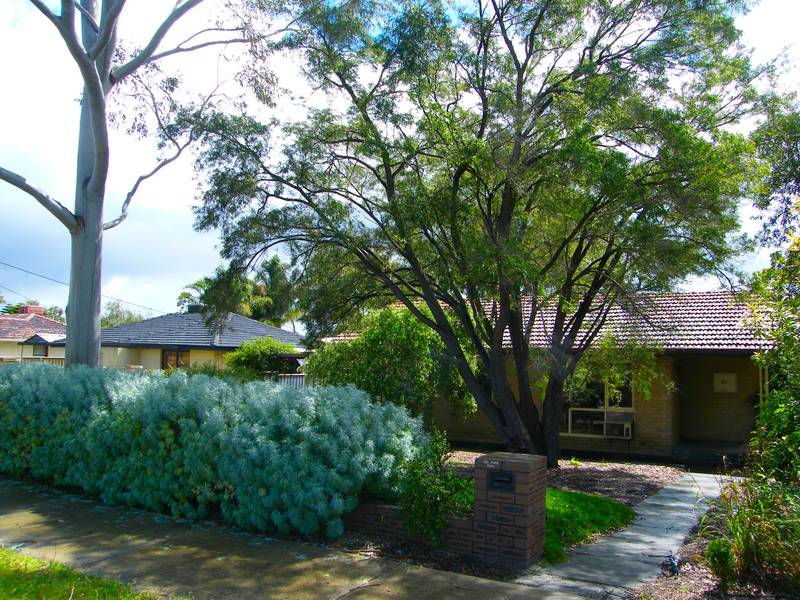 FIRST HOME BUYER ALERT!! Picture 3