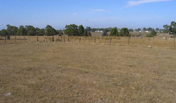 VACANT 1 ACRE BLOCK IN COBDEN Picture 3