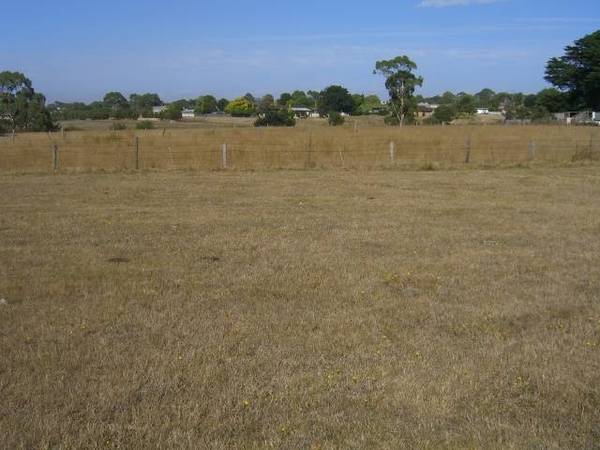 VACANT 1 ACRE BLOCK IN COBDEN Picture 2