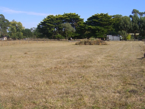 VACANT 1 ACRE BLOCK IN COBDEN Picture 1