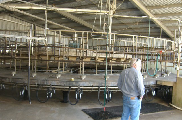 LARGE SCALE DAIRY FARM NEAR KOROIT Picture 3
