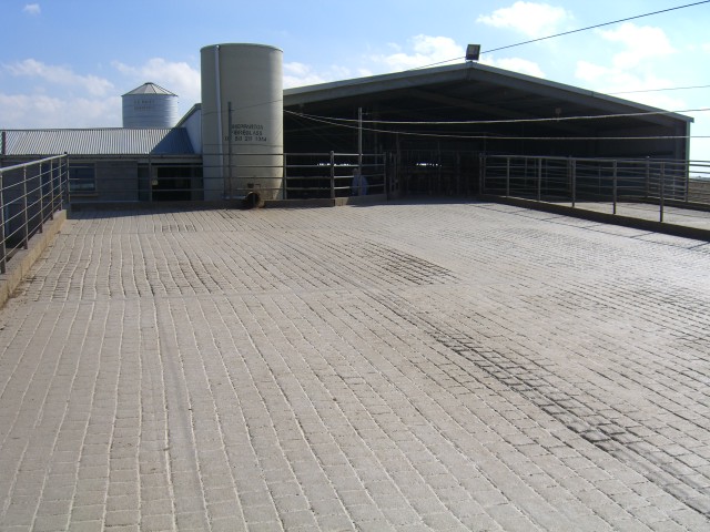 LARGE SCALE DAIRY FARM NEAR KOROIT Picture 2