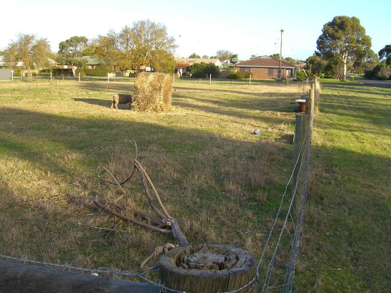 VACANT BLOCK IN COBDEN Picture 1