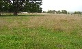 1 ACRE BLOCK OF LAND Picture