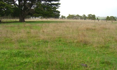 1 ACRE BLOCK OF LAND Picture