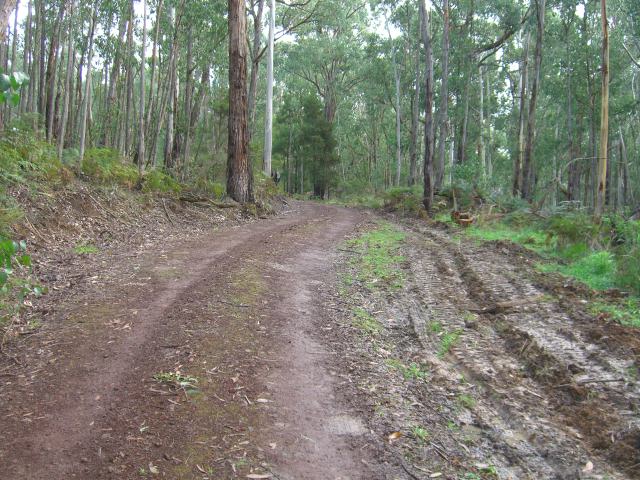 BRAND NEW HOME FOR RENT ON 5 ACRES OF BUSH - $250.00 PER WEEK Picture 3