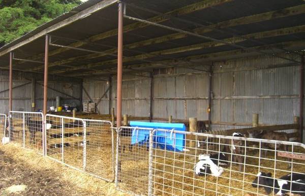 HIDE AWAY ON 9+ ACRES! Picture 3