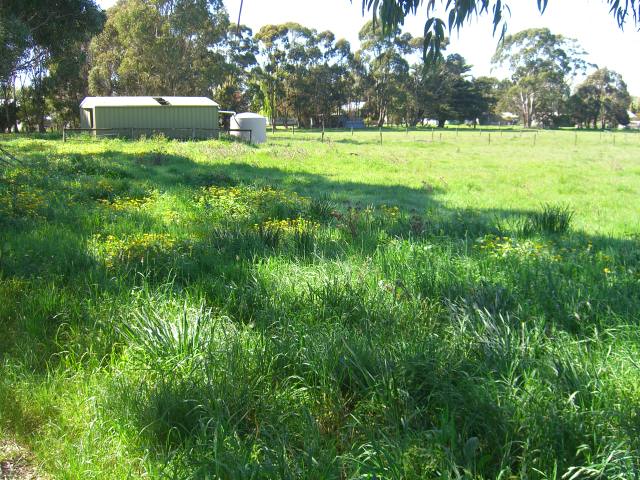1.5 ACRE BLOCK OF LAND ON EDGE OF TOWN Picture 2