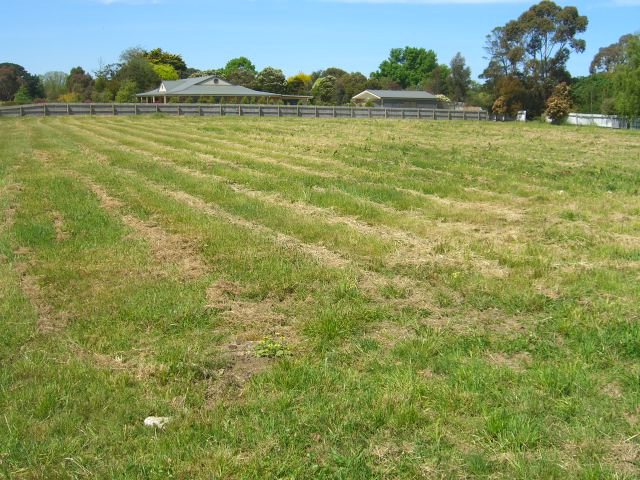 LARGE BULDING BLOCK NEAR GOLF COURSE Picture 2