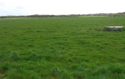 OUTSTANDING DAIRY OUT PADDOCK SET UP Picture
