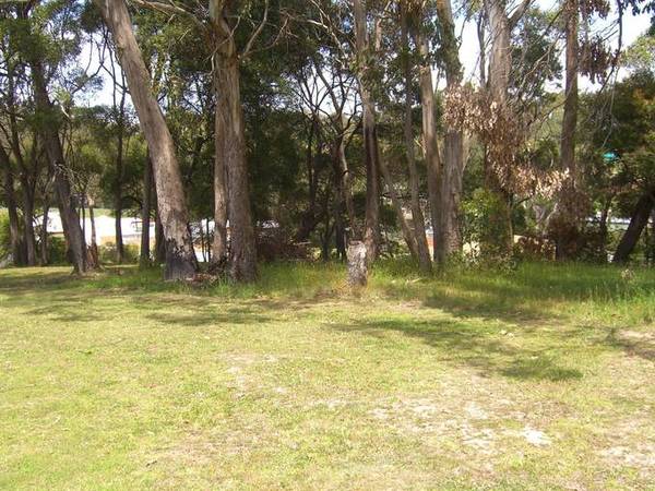 VACANT LAND IN TIMBOON Picture 1