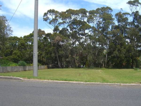 VACANT LAND IN TIMBOON Picture 3