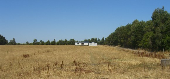 4 HECTARES ON ELINGAMITE LAKE Picture 3