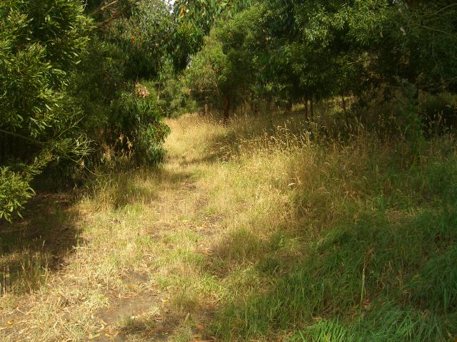 HOBBY FARM ON 4 HECTARES IN ELINGAMITE Picture 2