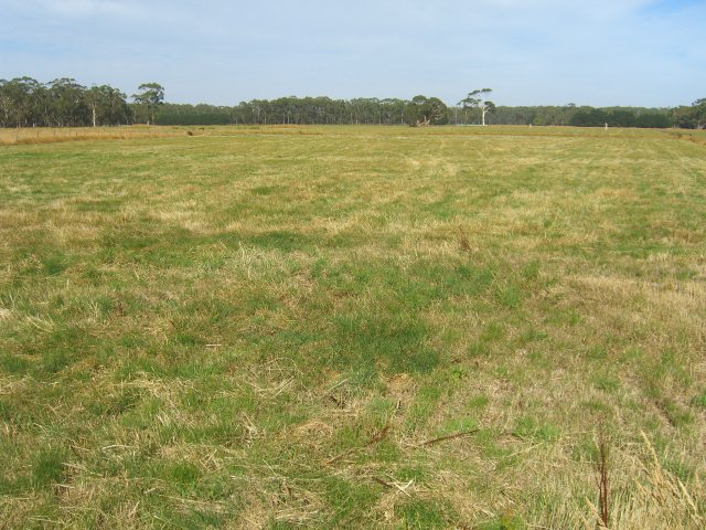 HOBBY FARM ON 4 HECTARES IN ELINGAMITE Picture 3