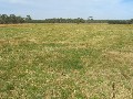 HOBBY FARM ON 4 HECTARES IN ELINGAMITE Picture