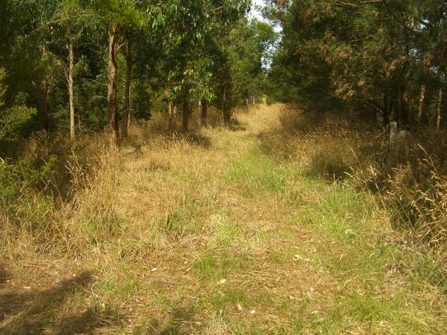 HOBBY FARM ON 4 HECTARES IN ELINGAMITE Picture 1