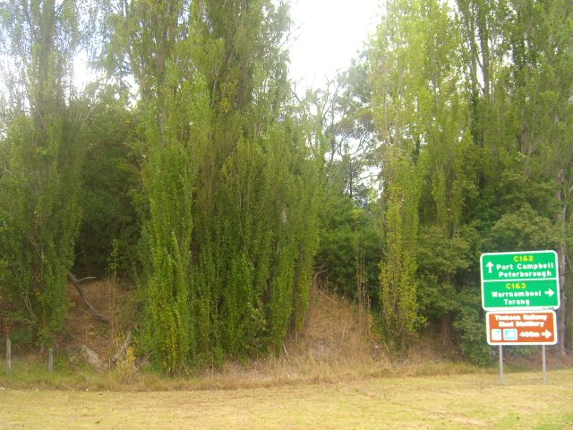 VACANT LAND ON SEALED ROAD IN TIMBOON Picture 3