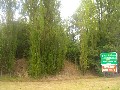 VACANT LAND ON SEALED ROAD IN TIMBOON Picture VACANT LAND ON SEALED ROAD IN TIMBOON Picture