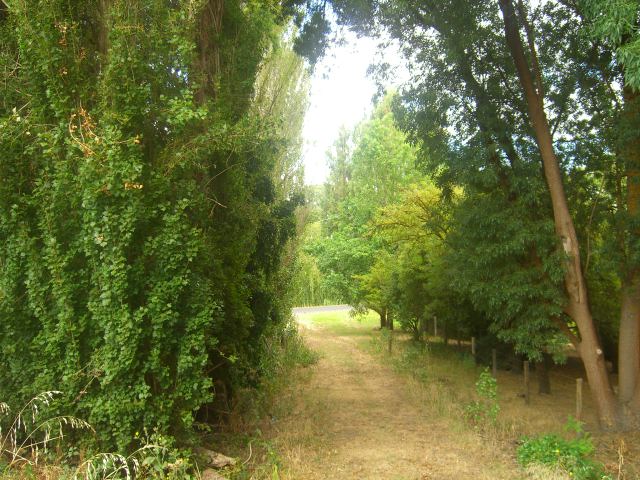 VACANT LAND ON SEALED ROAD IN TIMBOON Picture 1