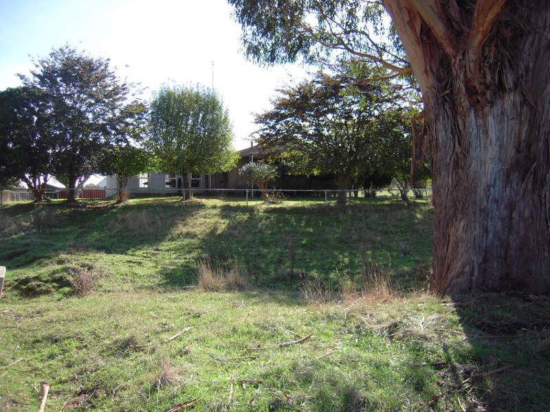 200-250 cow farm ready to go with potential for further improvement Picture 2