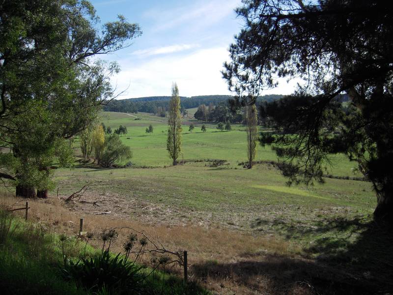 200-250 cow farm ready to go with potential for further improvement Picture 1