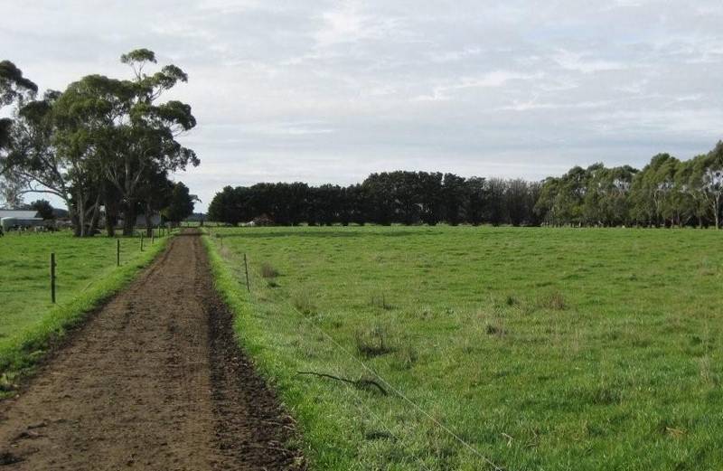Cobden dairy farm with flexibility to expand Picture 2
