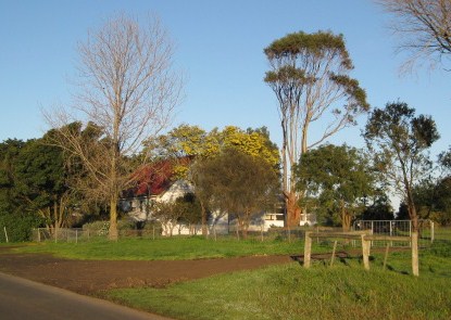 Versatile small rural building block close to Warrnambool Picture 1