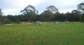 VACANT LAND IN COBDEN Picture