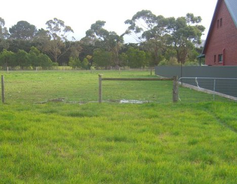 VACANT LAND IN COBDEN Picture 2