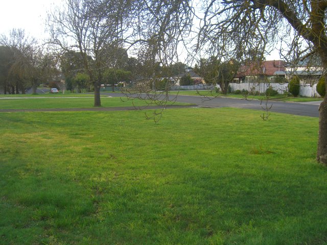 VACANT LAND IN COBDEN Picture 3
