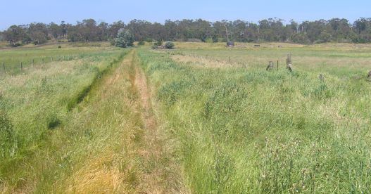 Lake Purrumbete Building Block / Out Paddock Picture 1