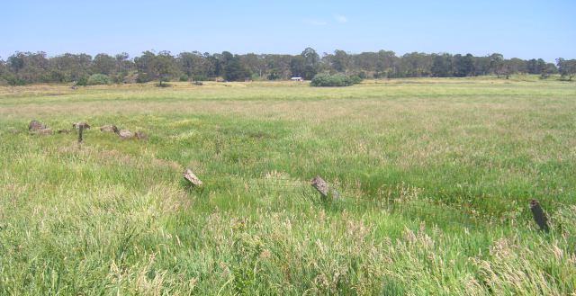 Lake Purrumbete Building Block / Out Paddock Picture 2