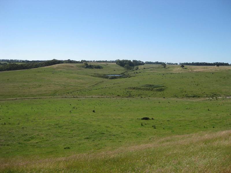 Sheltered grazing block close to Simpson Picture 1