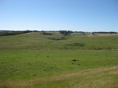 Sheltered grazing block close to Simpson Picture