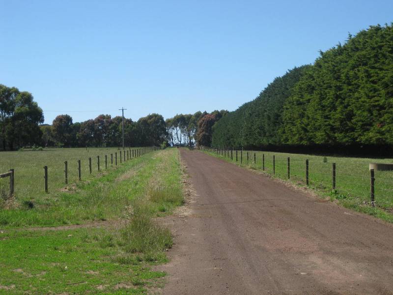 300 plus cow farm with all facilities in place. Picture 1