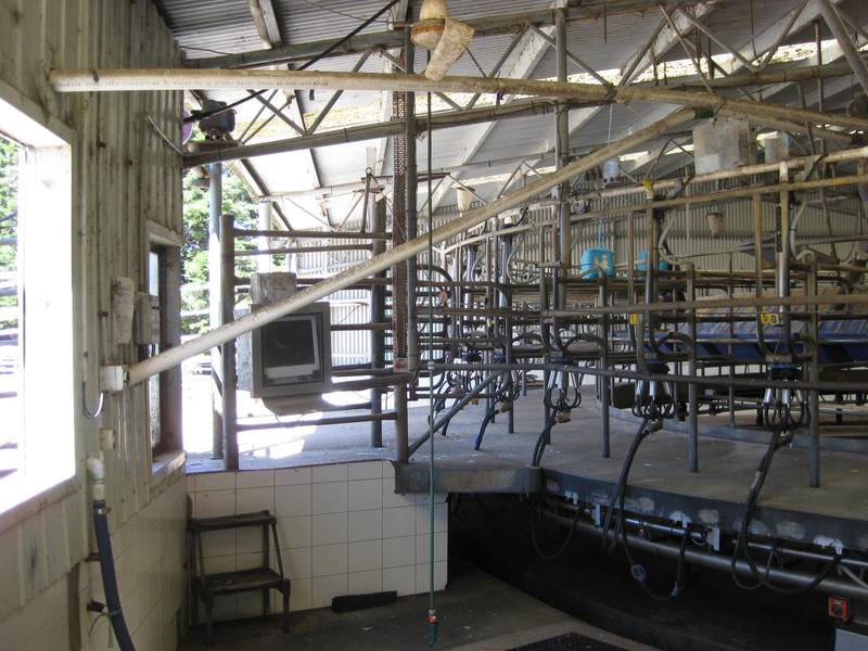300 plus cow farm with all facilities in place. Picture 2
