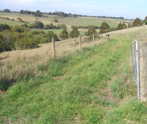 COBDEN PANORAMIC RURAL VIEWS Picture 3