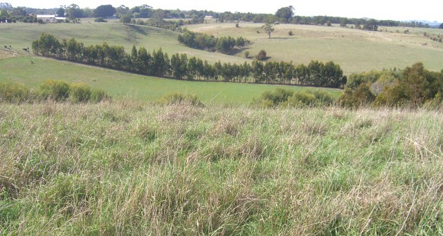 COBDEN PANORAMIC RURAL VIEWS Picture 1