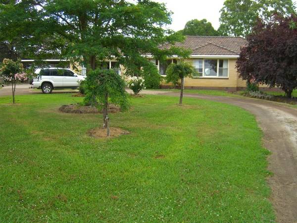 DIVERSE PRIME STOCK OPPORTUNITIES Picture 1