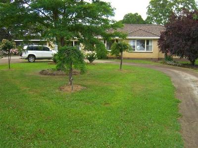 DIVERSE PRIME STOCK OPPORTUNITIES Picture