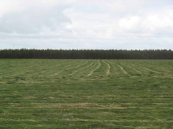 DIVERSE PRIME STOCK OPPORTUNITIES Picture 2