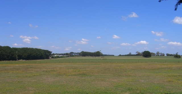 HOME ON 10 ACRES NEAR LAKE ELINGAMITE Picture 3