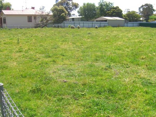 HOUSE OR UNITS Picture 1